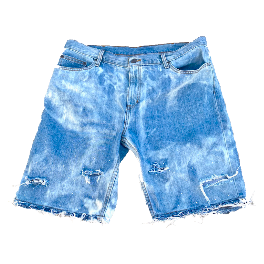 HIDDEN TREASURE JORTS