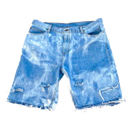 HIDDEN TREASURE JORTS